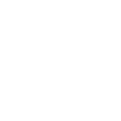 Raveo_logo